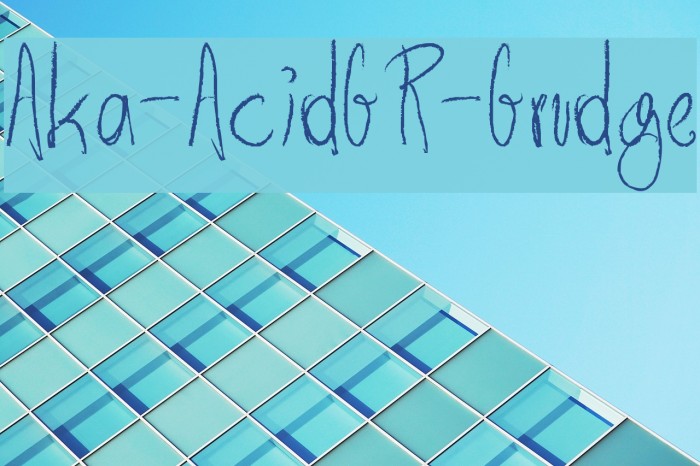 Aka-AcidGR-Grudge Example 1