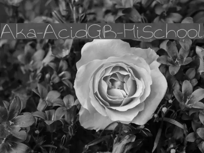 Aka-AcidGR-HiSchool Font examples