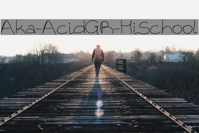Aka-AcidGR-HiSchool Example 2