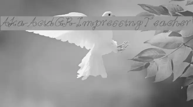 Aka-AcidGR-ImpressingTeacher Font examples