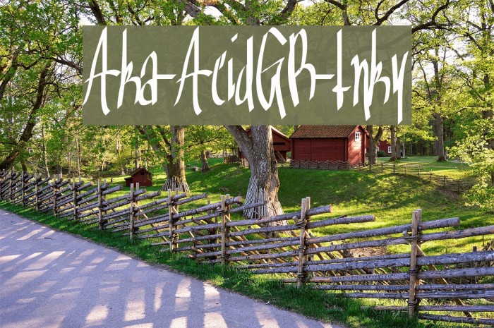 Aka-AcidGR-Inky Font examples