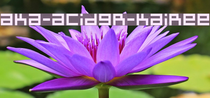Aka-AcidGR-Kairee フォント examples