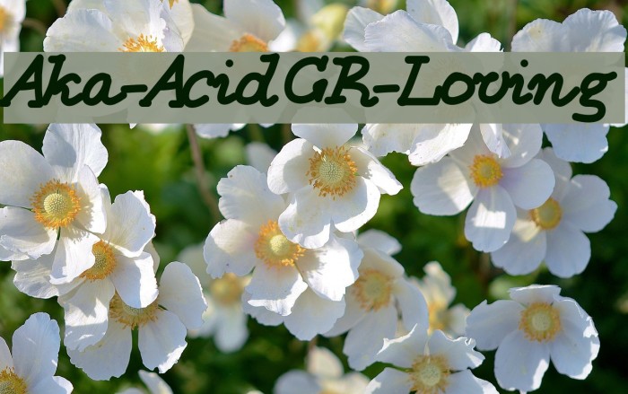 Aka-AcidGR-Loving Font examples