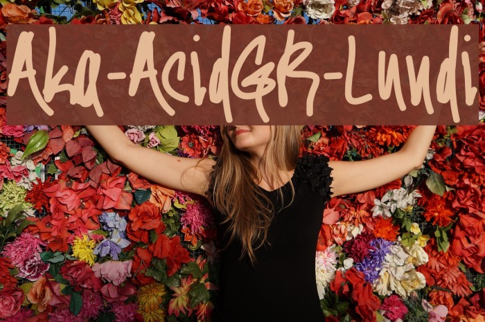 Aka-AcidGR-Lundi Example 1