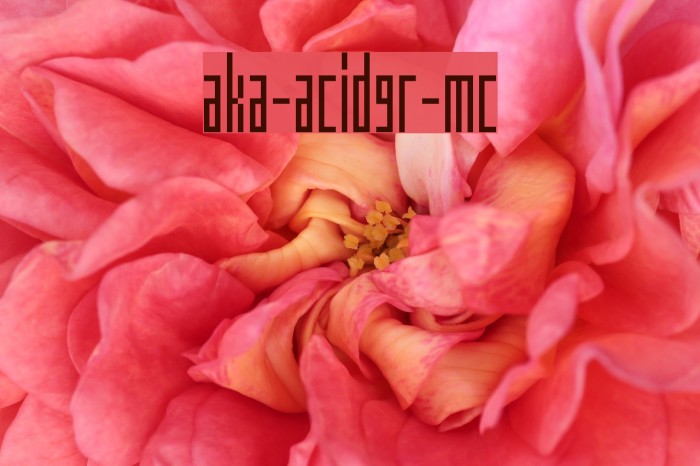 Aka-AcidGR-MC Font examples