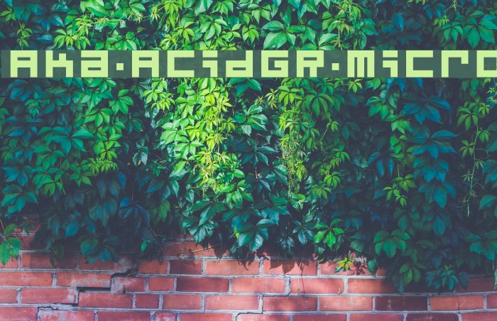 Aka-AcidGR-Micro Font examples