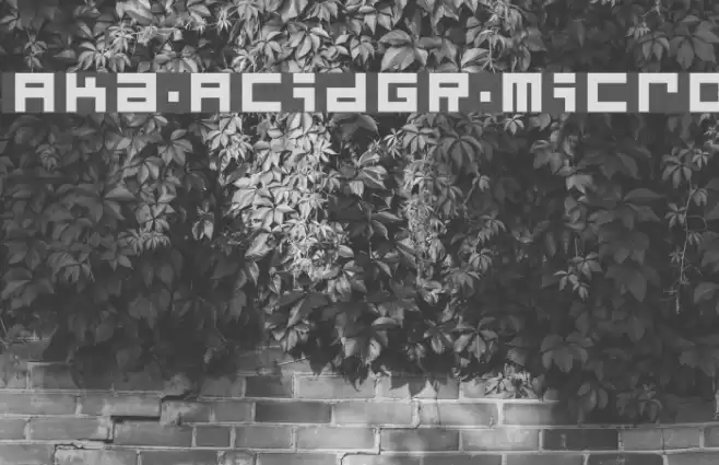 Aka-AcidGR-Micro Font examples