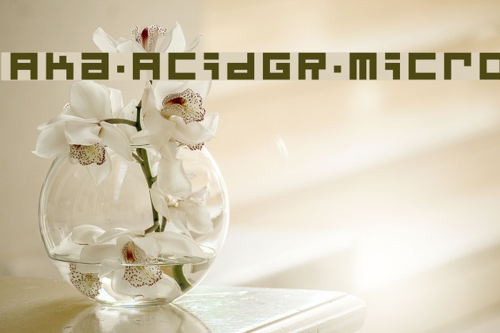 Aka-AcidGR-Micro Font examples