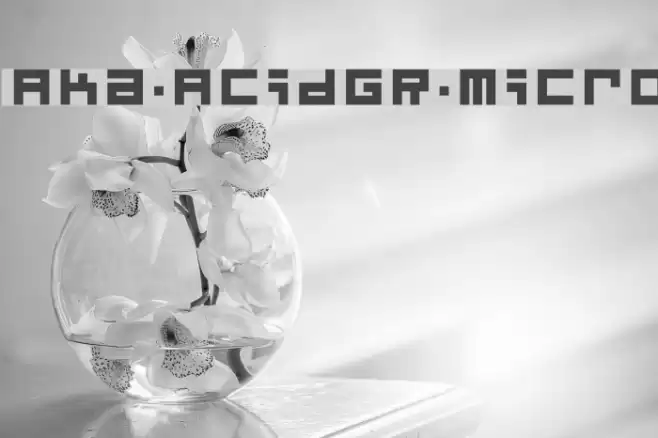 Aka-AcidGR-Micro Font examples