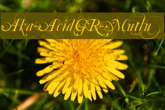 Aka-AcidGR-Mutlu Font examples