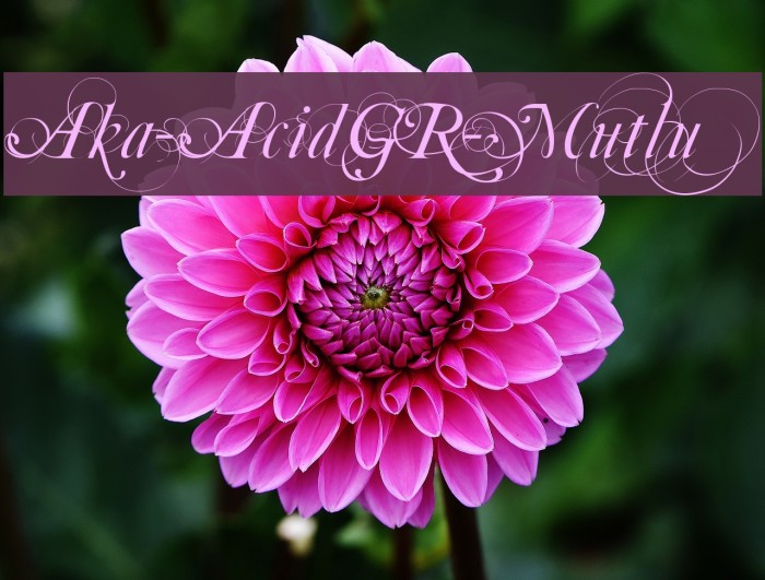 Aka-AcidGR-Mutlu Font examples