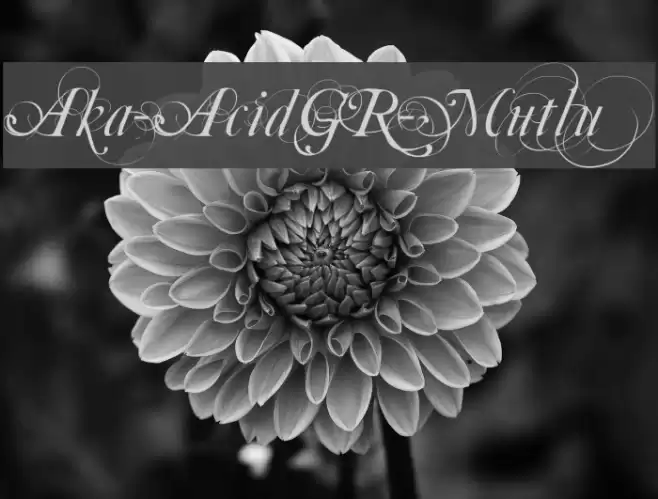 Aka-AcidGR-Mutlu フォント examples