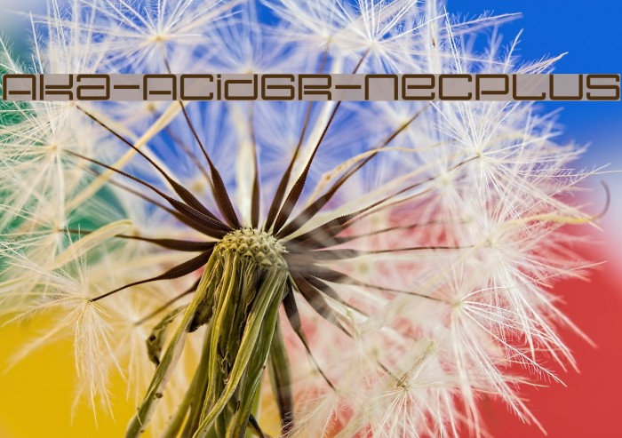 Aka-AcidGR-Necplus Example 3