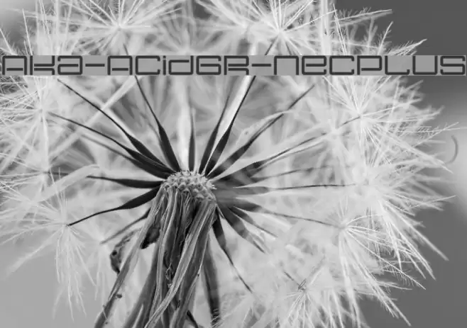 Aka-AcidGR-Necplus Font examples