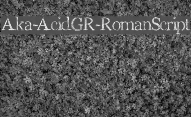 Aka-AcidGR-RomanScript Font examples