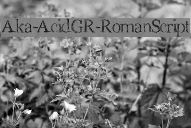 Aka-AcidGR-RomanScript Font examples