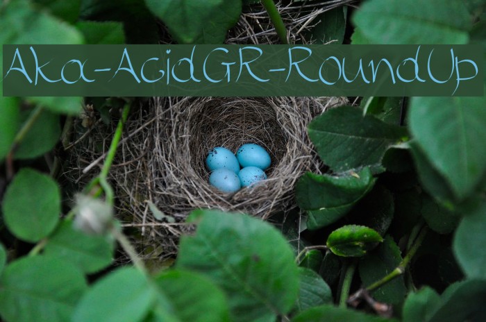 Aka-AcidGR-RoundUp Шрифта examples