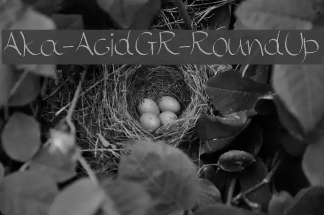 Aka-AcidGR-RoundUp Font examples