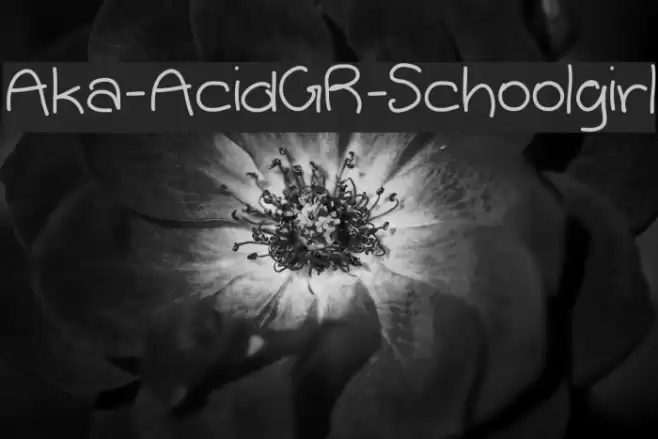 Aka-AcidGR-Schoolgirl Font examples