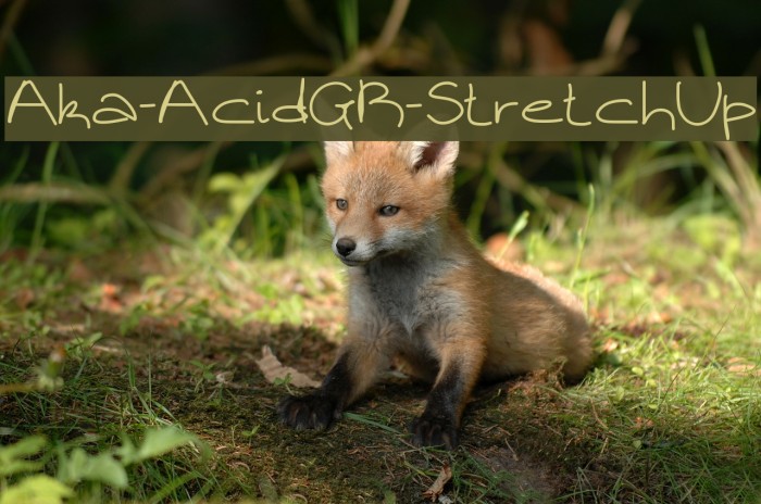 Aka-AcidGR-StretchUp Font examples