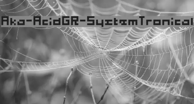 Aka-AcidGR-SystemTronical Schriftart examples