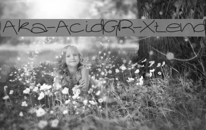 Aka-AcidGR-Xtend Font examples
