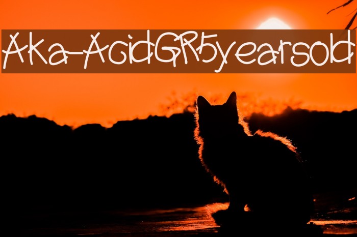 Aka-AcidGR5yearsold Font examples