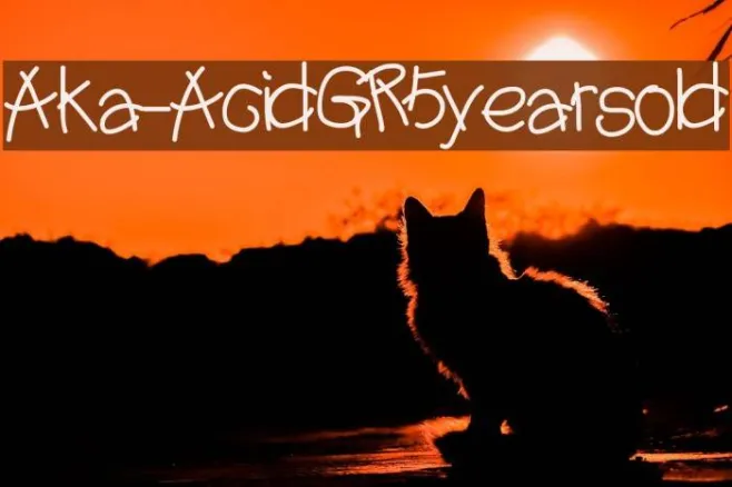 Aka-AcidGR5yearsold Example 1