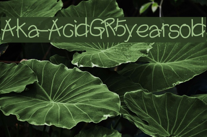 Aka-AcidGR5yearsold Font examples