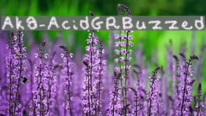 Aka-AcidGRBuzzed Example 3