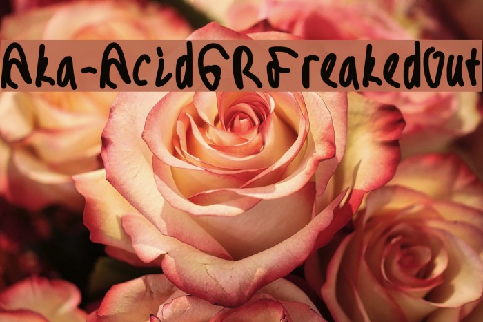 Aka-AcidGRFreakedOut Font examples