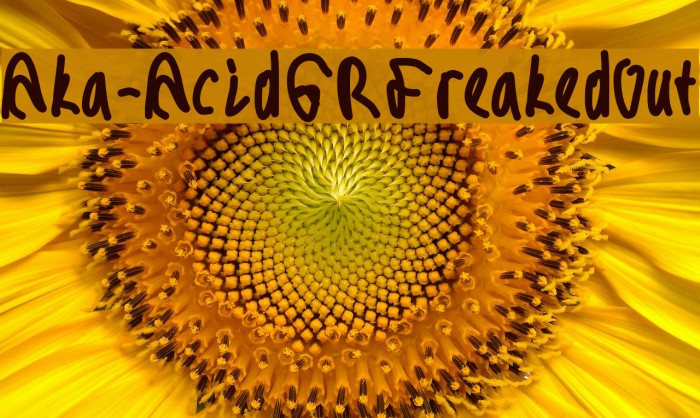 Aka-AcidGRFreakedOut Font examples
