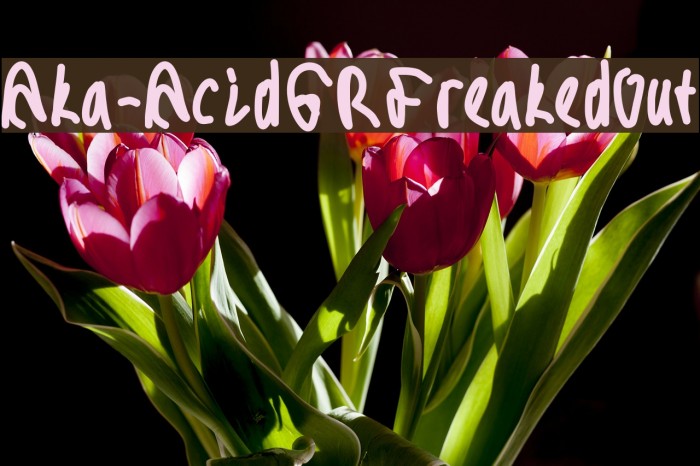 Aka-AcidGRFreakedOut Font examples
