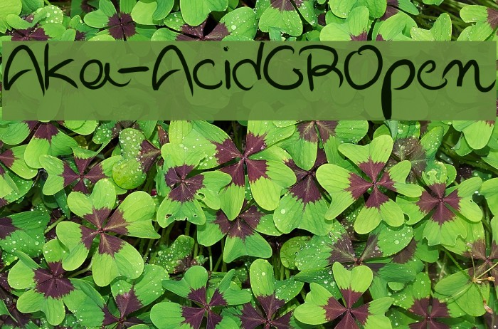 Aka-AcidGROpen Font examples