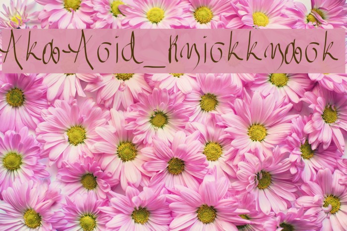 Aka-Acid_Knickknack Font examples