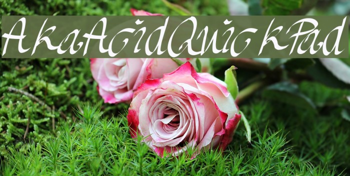 AkaAcidQuickPad Font examples