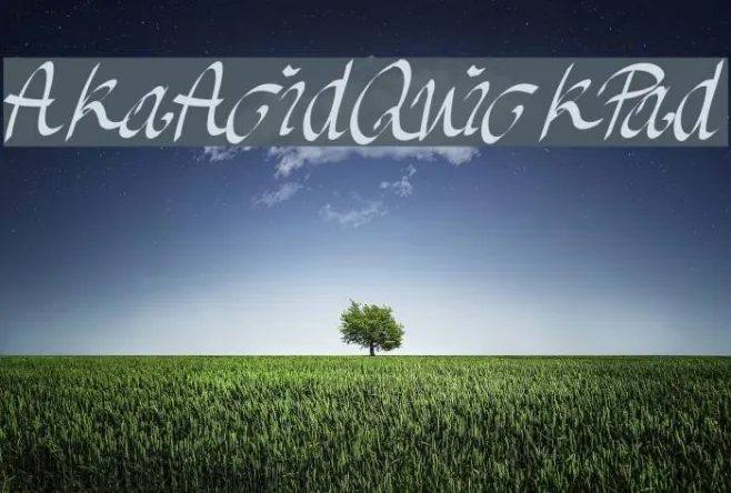 AkaAcidQuickPad Example 2