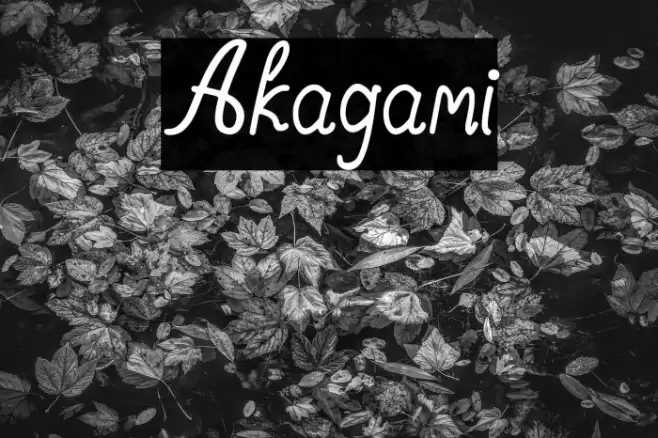 Akagami Font examples