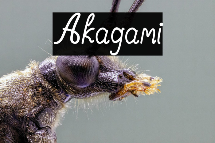 Akagami Example 2