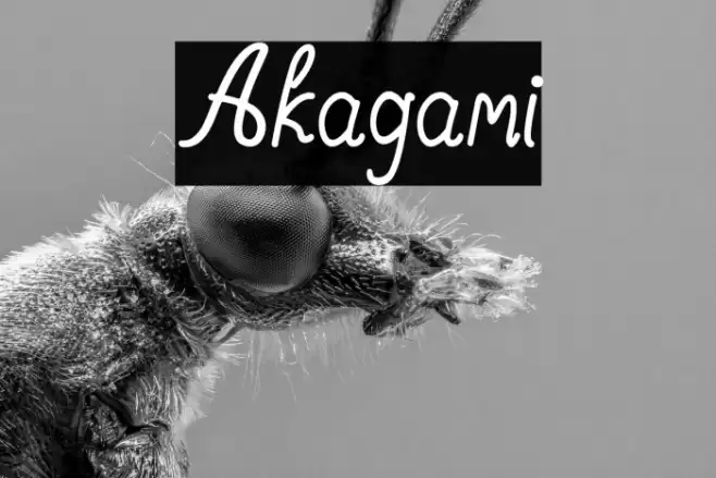 Akagami Font examples