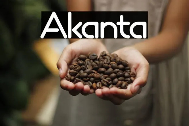 Akanta Example 2