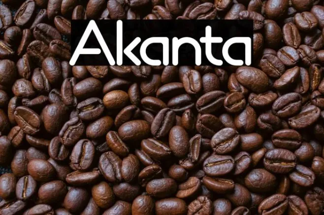 Akanta Example 3