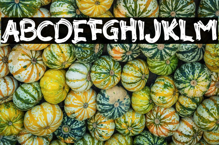 Akar Rumput Example 2