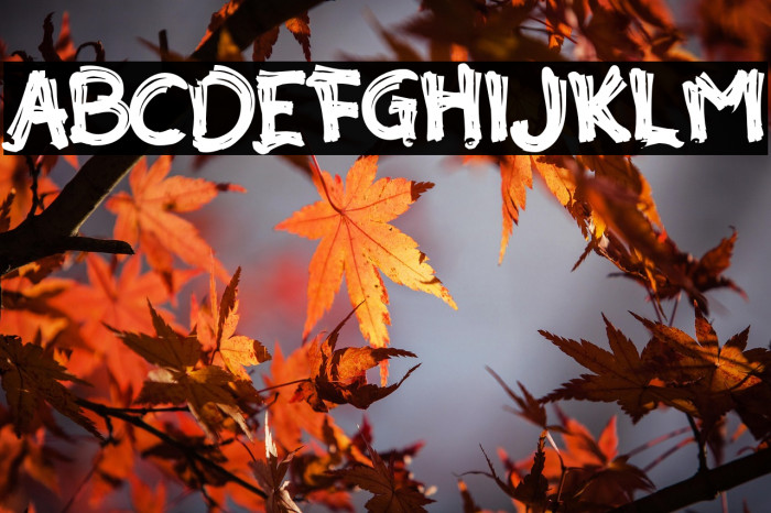 Akar Rumput Example 3