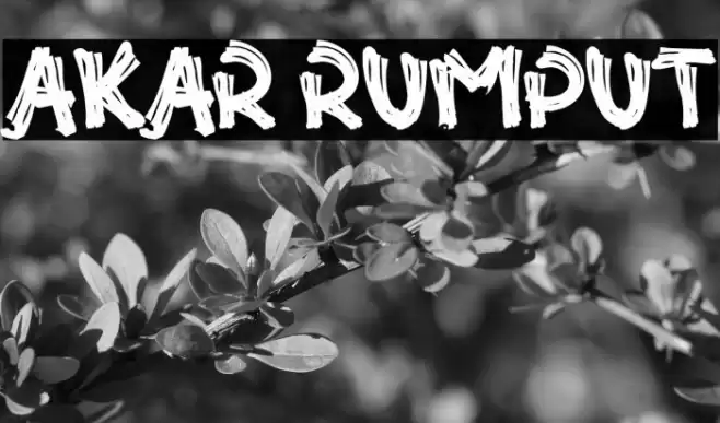 Akar Rumput Font examples