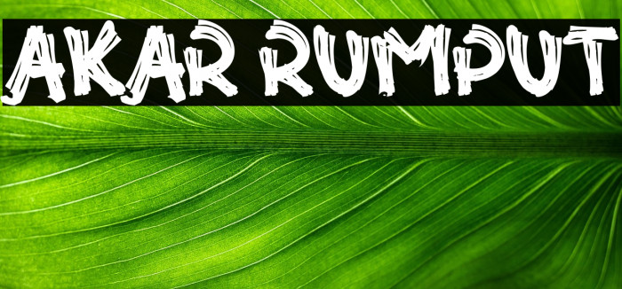 Akar Rumput Example 2