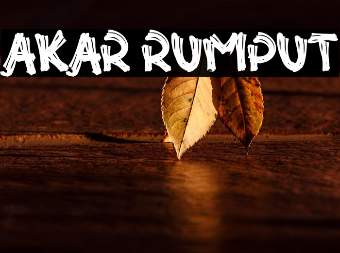 Akar Rumput Example 3