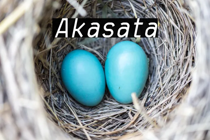 Akasha Italic Example 2