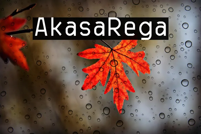 Akasha Regular Example 3