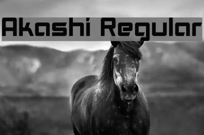 Akashi Regular Font examples